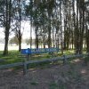 Bilarong Reserve Narrabeen